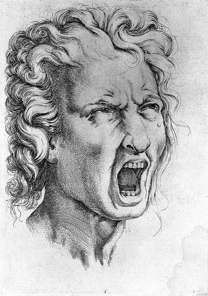 Head of a man screaming. Engraving after Michelangelo.