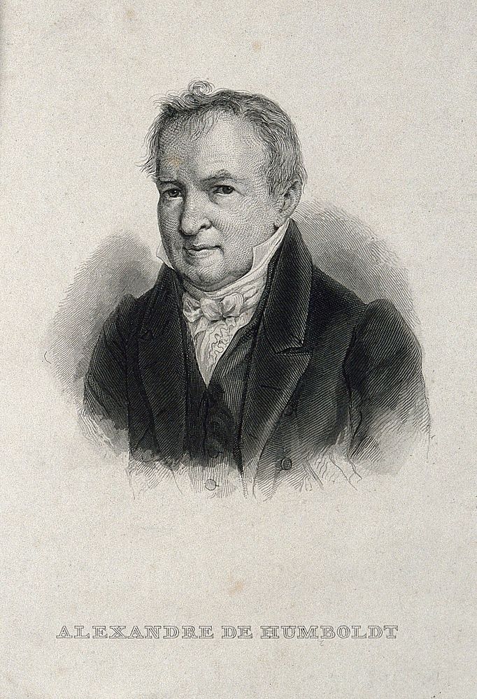 Friedrich Heinrich Alexander von Humboldt. Engraving.