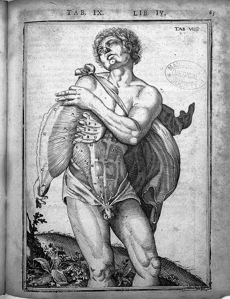 De humani corporis fabrica libri decem. Tabulis XCIIX. aeri incisis ... exornati ... Opus posthumum / [Edited by] Daniel…