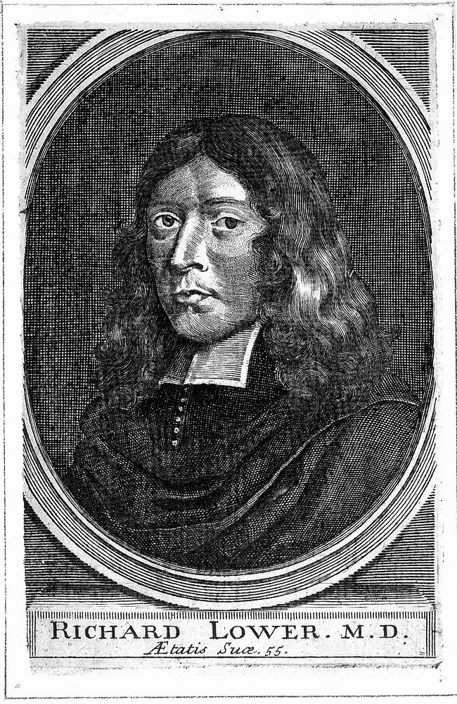 Richard Lower. Line engraving after W. Faithorne, 1671.