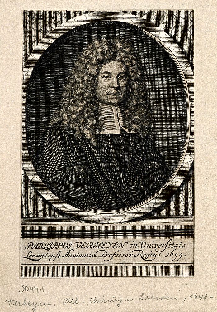 Philip Verheyen. Line engraving, 1699.