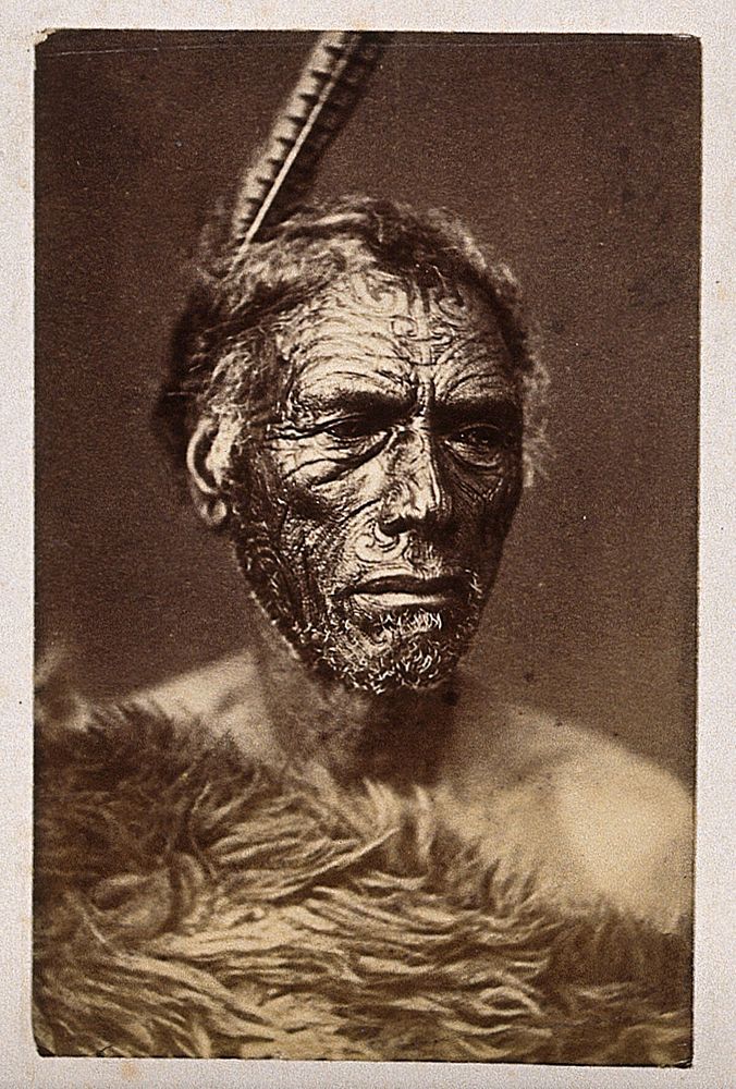 New Zealand: a Maori man. Albumen print.