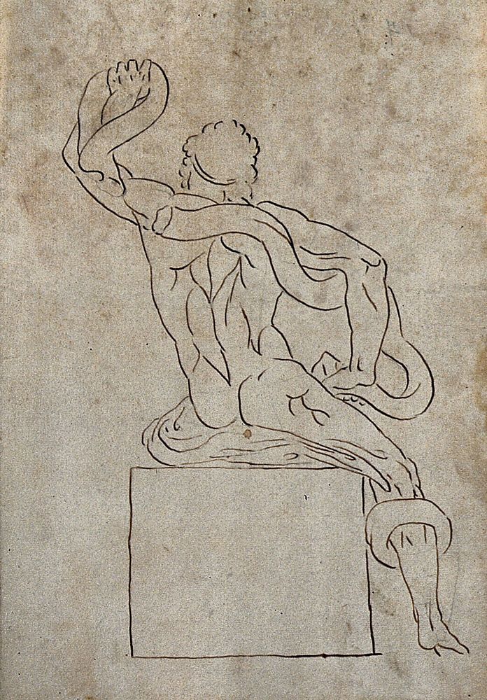 The Laocoön sculpture seen from behind. Pen and ink drawing after G. Audran.