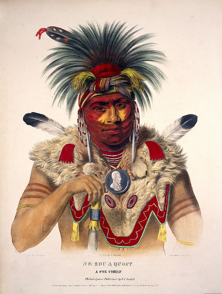 Nesouaquoit (Bear in the Forks of a Tree), a chief of the Fox tribe, wearing a bearskin cloak. Coloured lithograph by Lehman…