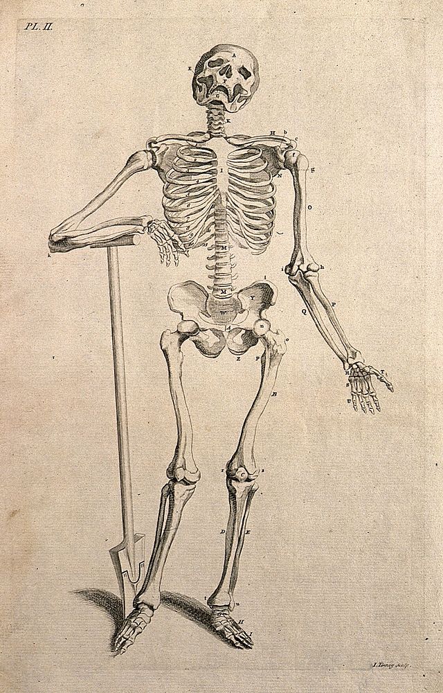 A skeleton leaning on an inscribed tombstone, resting his right hand on a skull. Line engraving by J. Tinney, after A.…