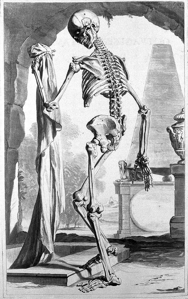 Anatomia humani corporis / centum & quinque tabulis, per artificiosiss. G. de Lairesse ad vivum delineatis, demonstrata.