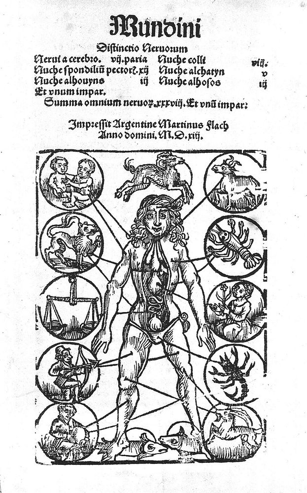 De omnibus humani corporis interioribus membris Anathomia / [Mondino dei Luzzi].
