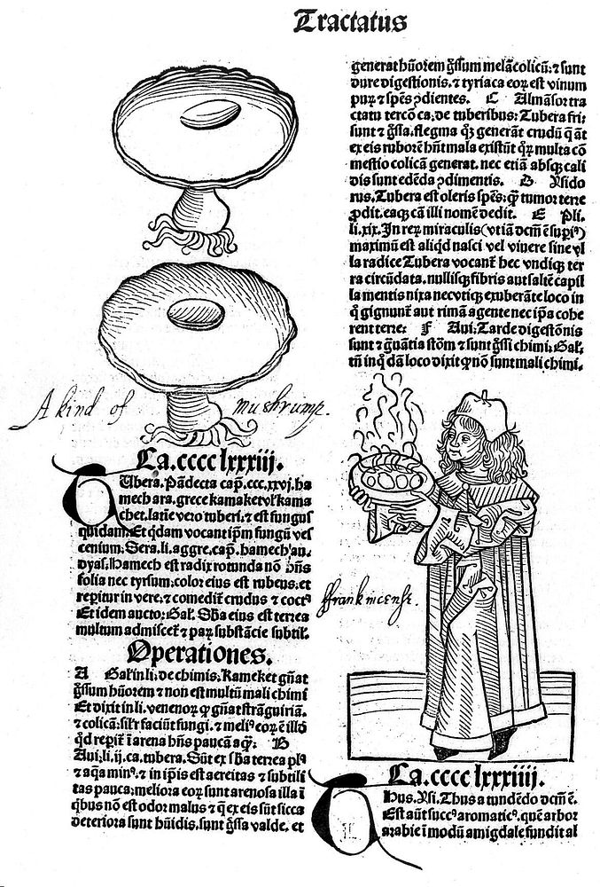 Herbarius zu Teutsch.