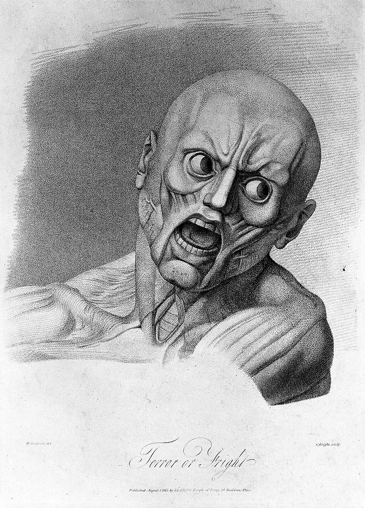 An écorché face showing the muscles involved in the expression of terror. Stipple engraving by H. Singleton  after G.T.…