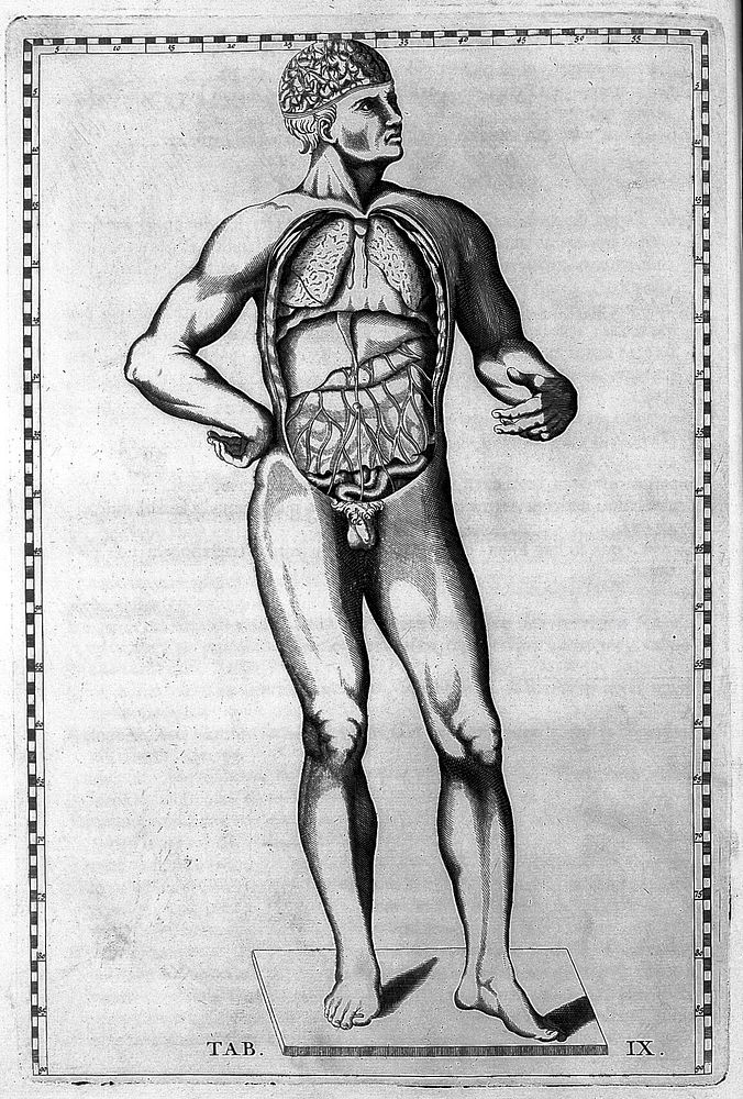 Tabulae anatomicae / ... B.E. ... praefatione, notisque illustravit ... Jo. Maria Lancisius.
