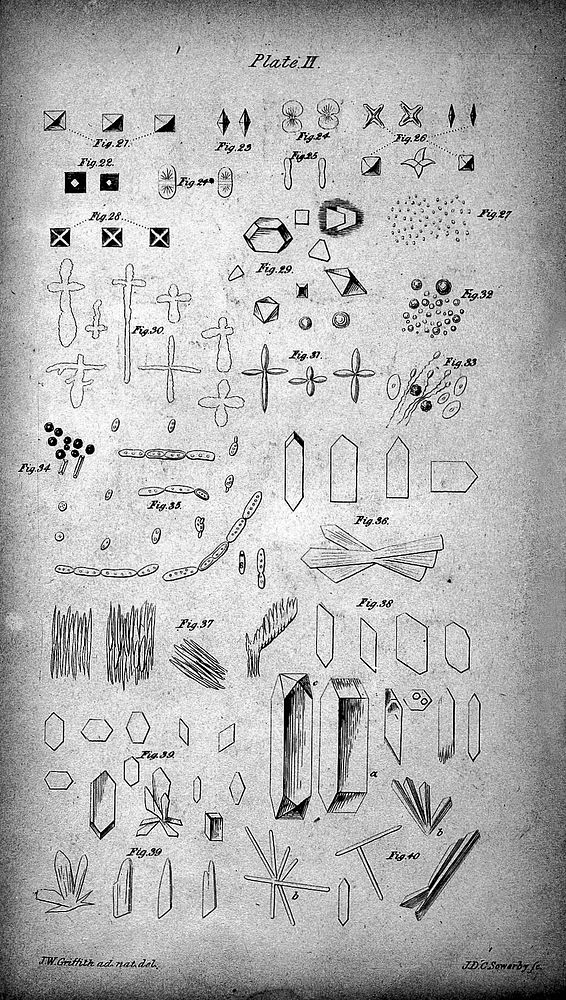A practical manual, containing a description of the general, chemical and microscopical characters of the blood, and…