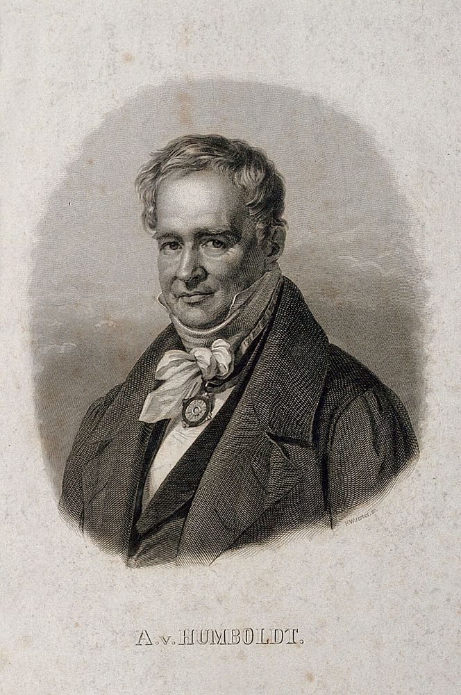 Friedrich Heinrich Alexander von Humboldt. Line engraving by P. Wurster after C. Begas, 1840.