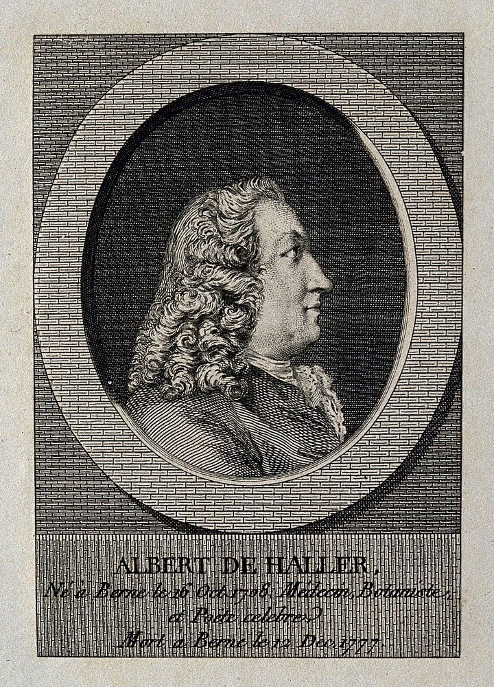 Baron Albrecht von Haller. Line engraving.