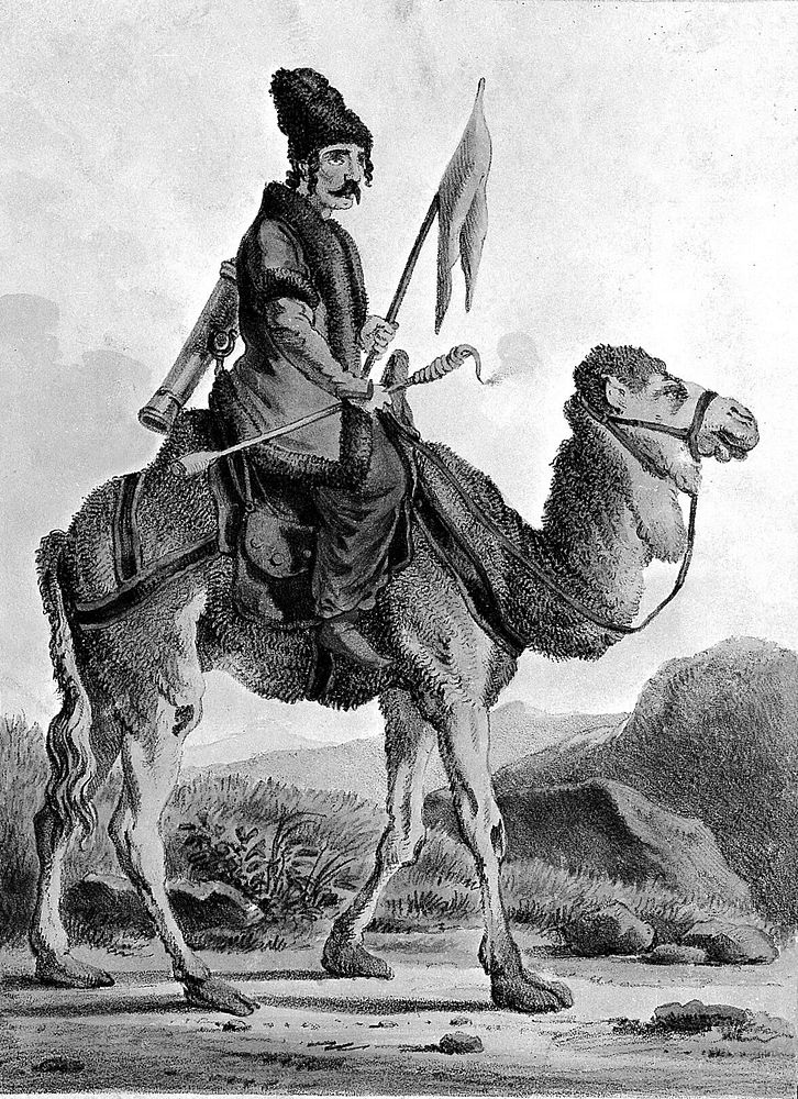 A man carrying a flag is riding on a camel. Coloured lithograph by Hullmandel after A. Orlowski.