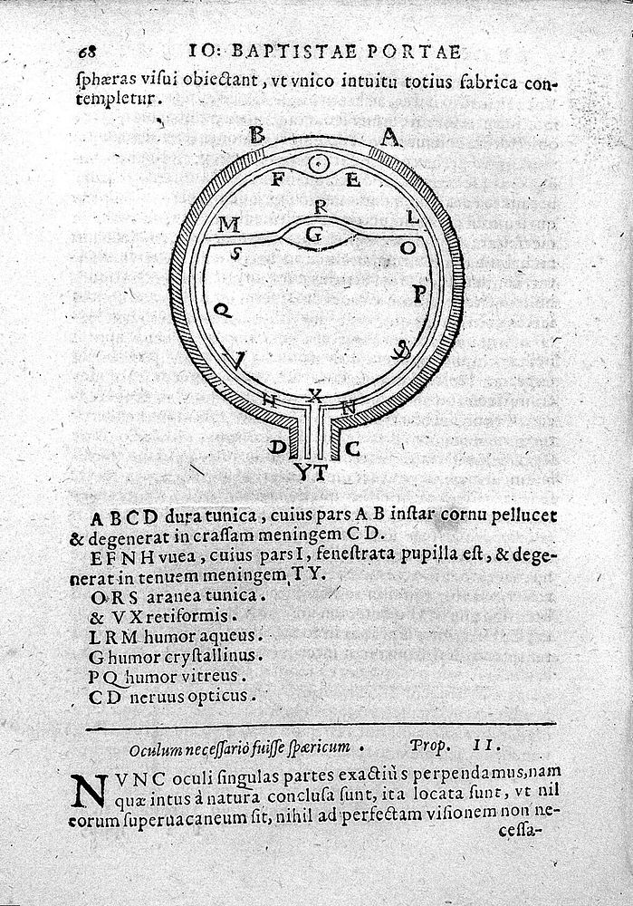 De refractione optices parte libri novem / [Giambattista della Porta].