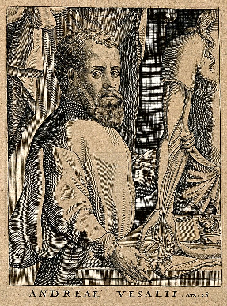 Andreas Vesalius. Line engraving, 1600.