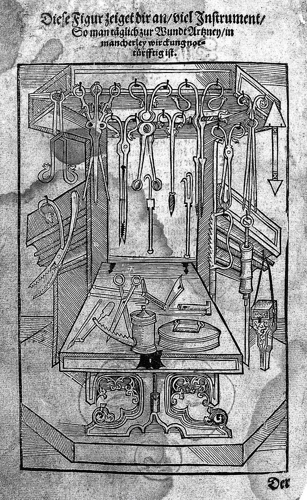 Feldtbuch der Wundartzney. Sampt des Menschen Cörpers Anatomey, unnd Chirurgischen Instrumenten, wahrhafftig Abcontrafeyt…