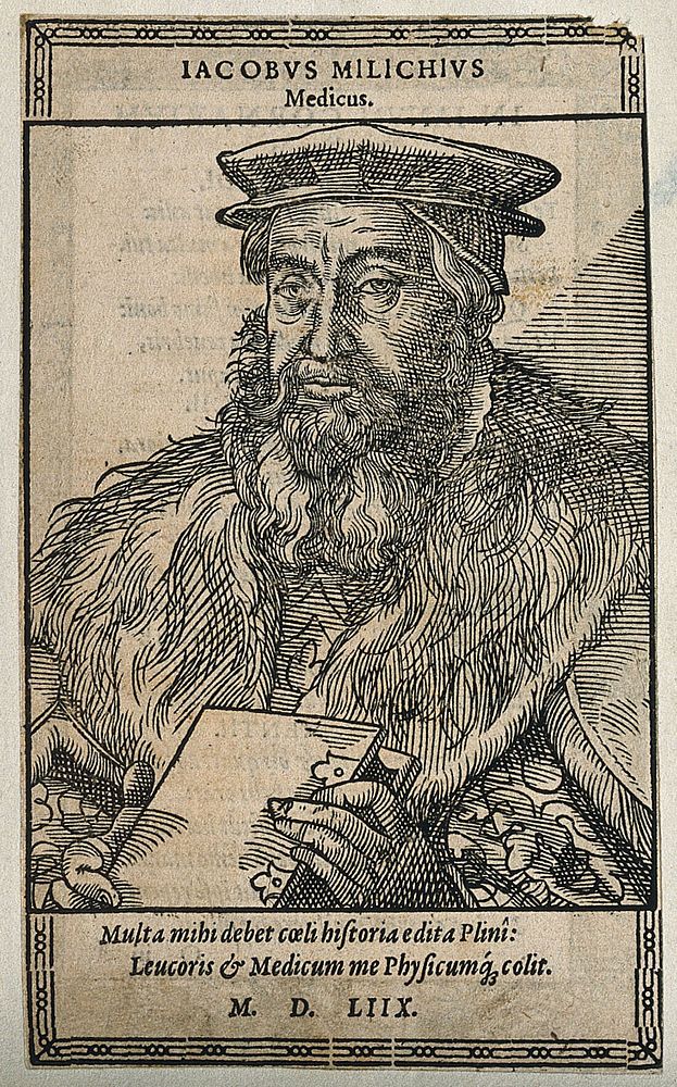 Jacob Milich. Woodcut, 1558.