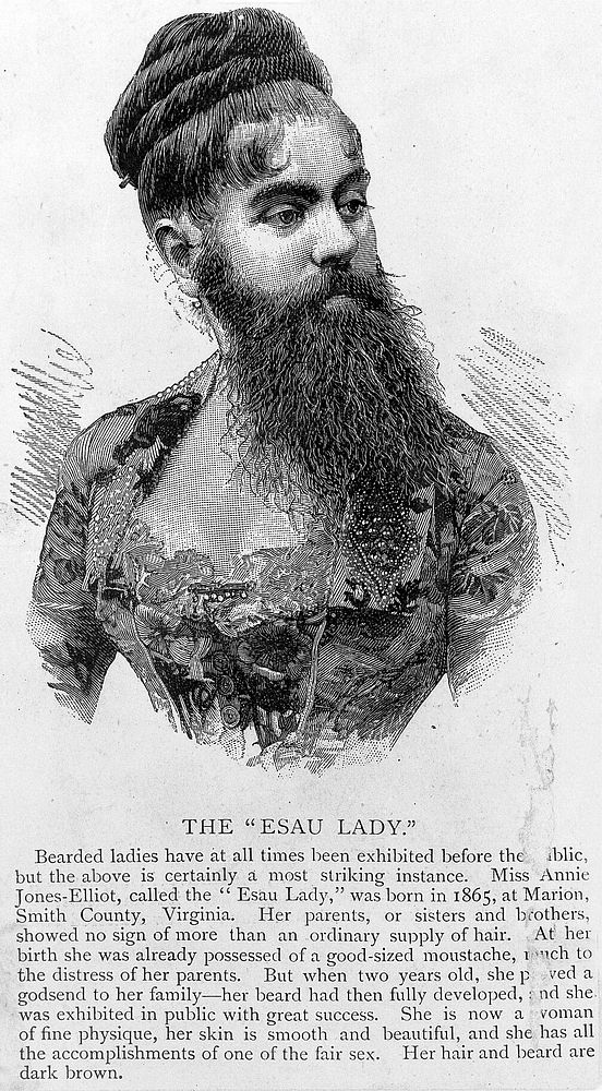 [Undated, illustrated (cutting leaflet) about bearded Annie Jones-Elliot, "The Esau Lady"].