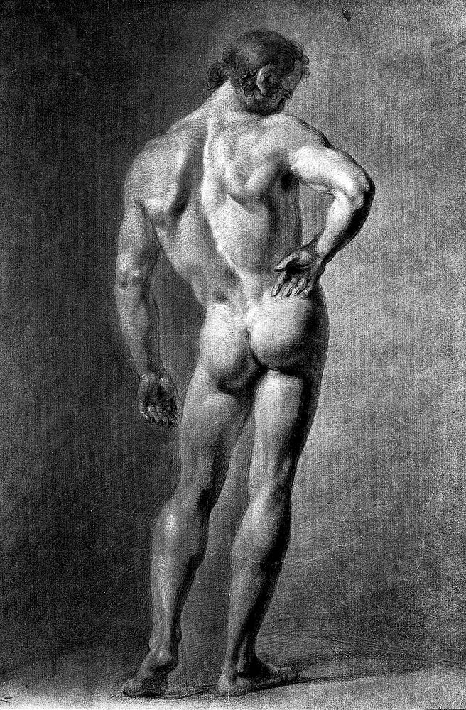 A standing male nude seen from behind. Black chalk drawing with white highlights by J.J. Masquerier.