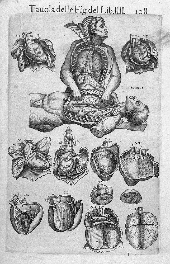 Anatomia del corpo humano / composta per M. Giouan Valuerde di Hamusco, & da luy con molte figure di rame, et eruditi…