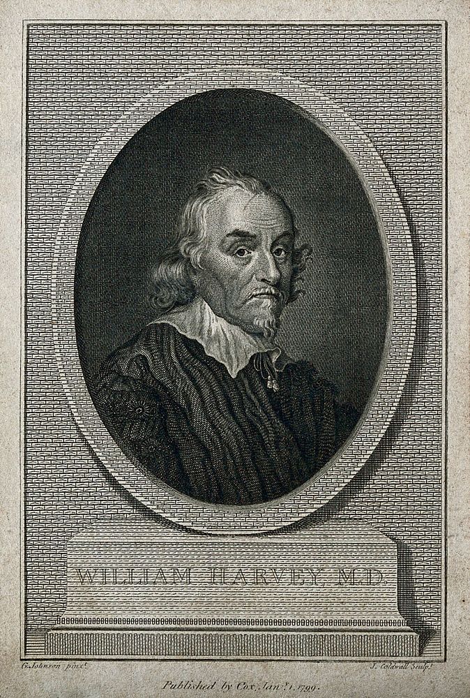 William Harvey. Line engraving by T. Cook.