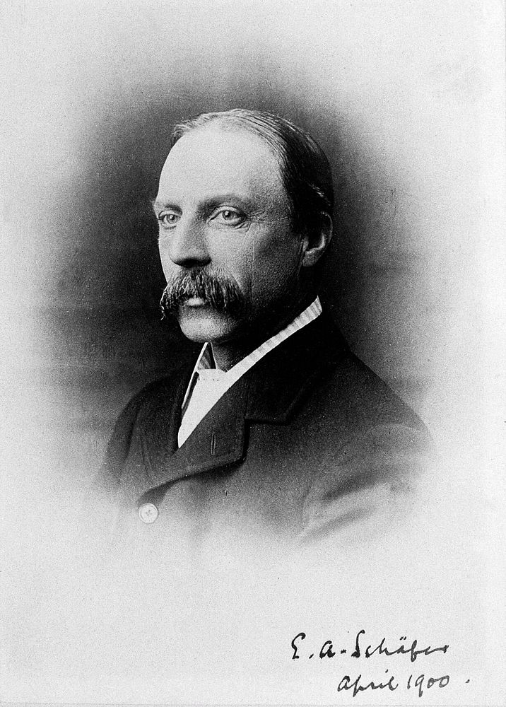 Sir Edward Albert Sharpey-Schafer. Photograph, 1900.