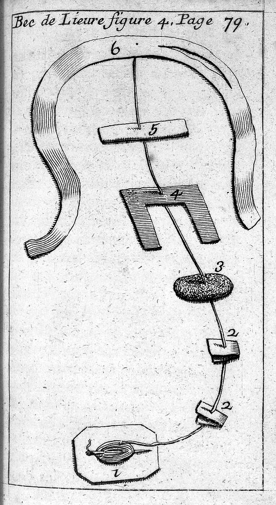 Bec de Lieure, from Le Clerc, L'appareil commode en faveur des jeunes chirurgiens, 1700