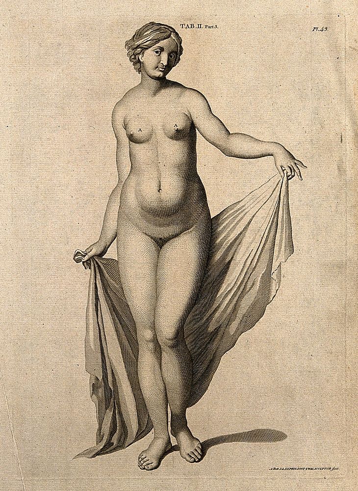 Superficial anatomy of the woman: anterior view. Engraving by A. Bell after G. Bidloo, 1798.