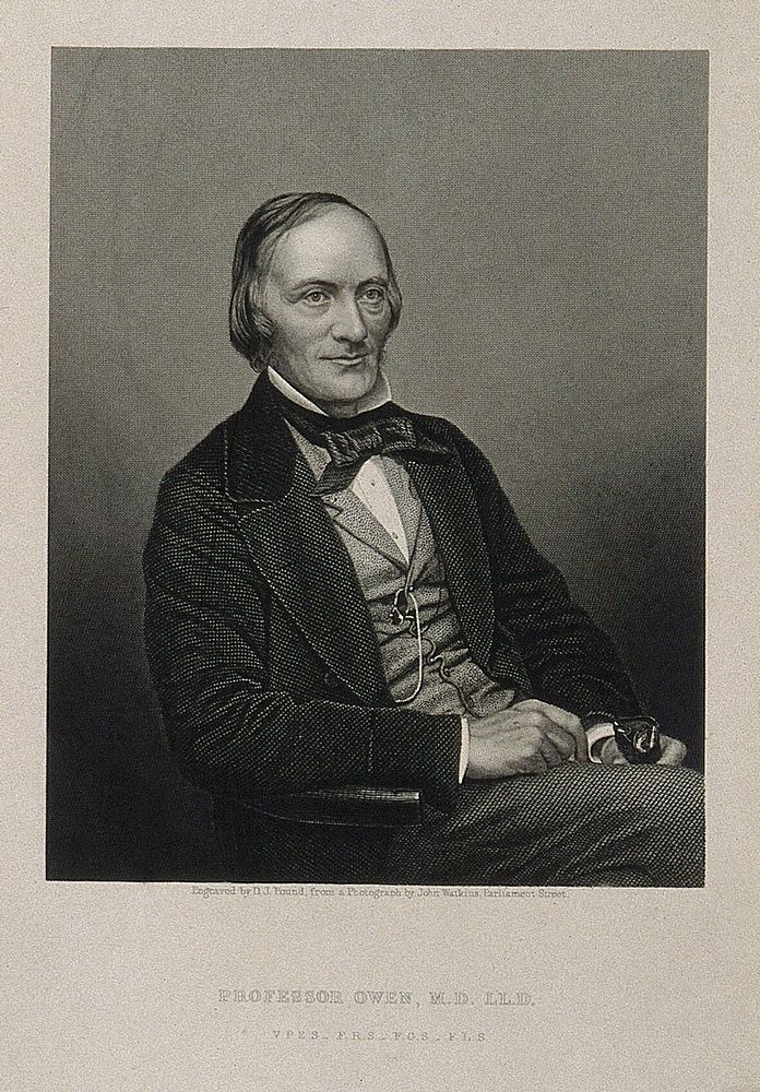Sir Richard Owen. Engraving by D. J. Pound after J. & C. Watkins.