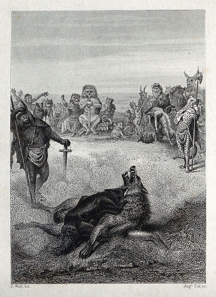 A fox and a wolf are fighting each other in a pit with a crowd of animals looking on. Etching by A. Fox after J. Wolf.