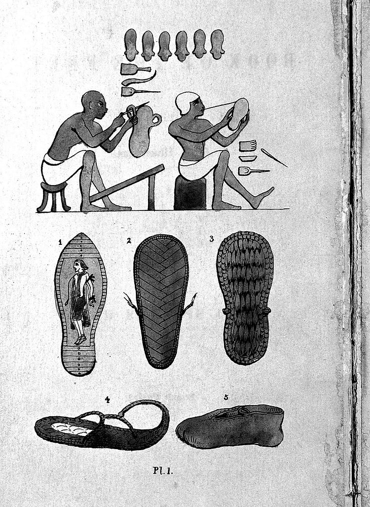 The book of the feet, a history of boots and shoes. With illustrations of the fashions of the Egyptians, Hebrews, Persians…