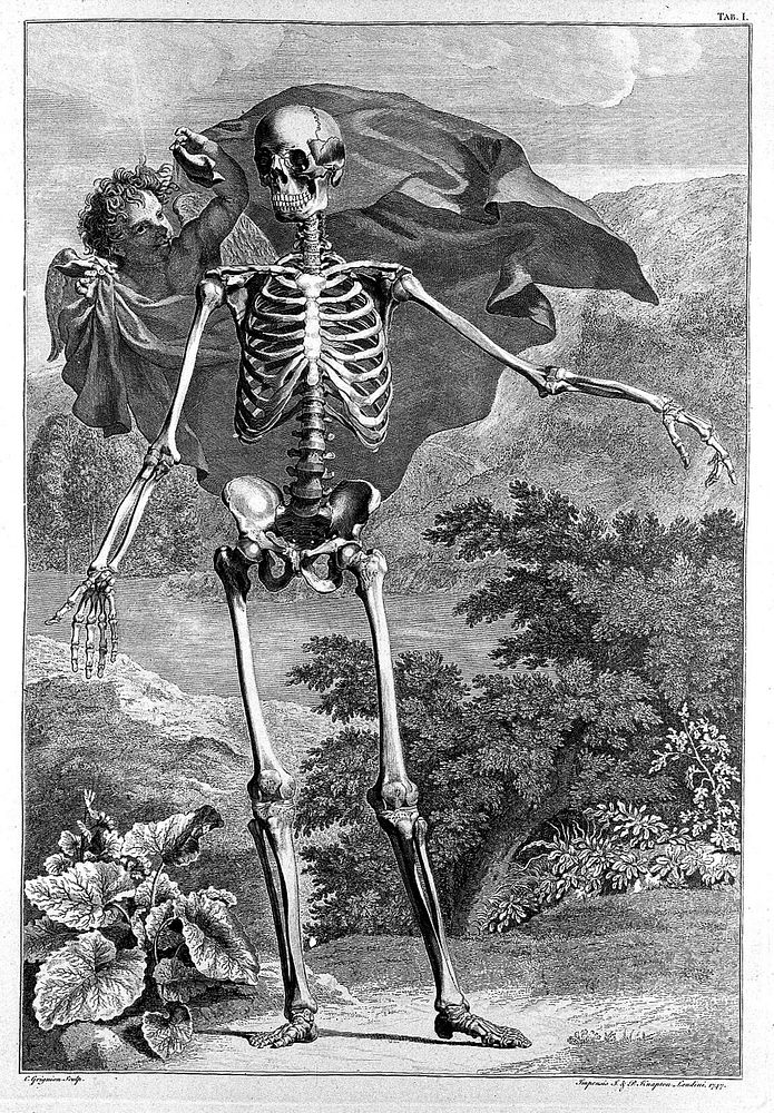 Tables of the skeleton and muscles of the human body ... / Translated from the Latin.