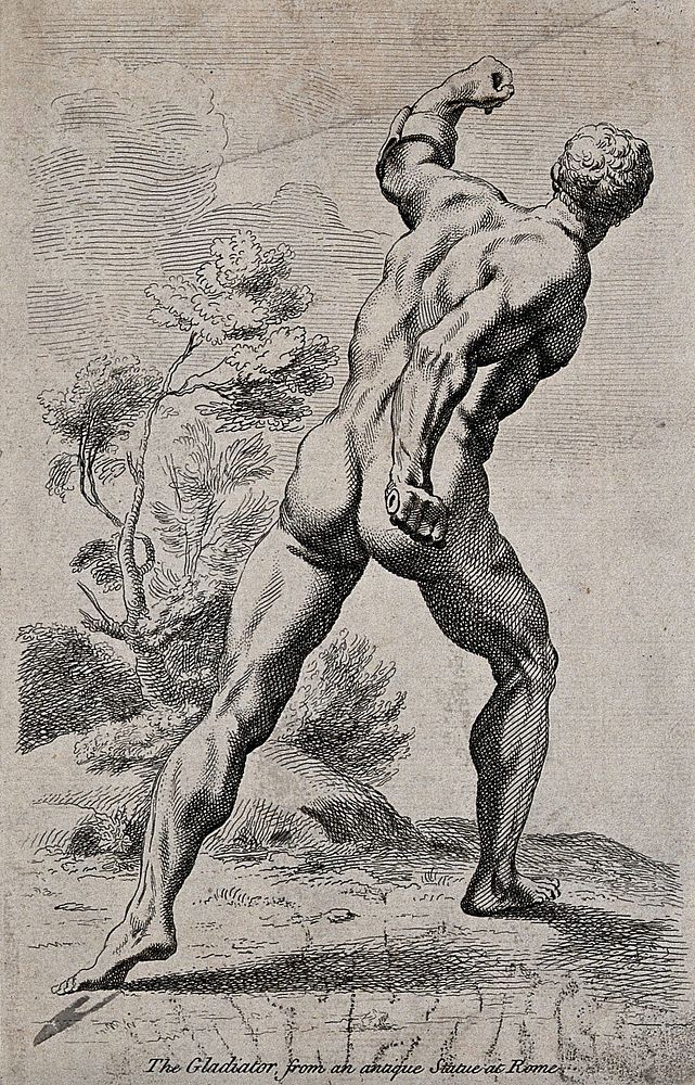 The Borghese Gladiator seen from behind. Etching.