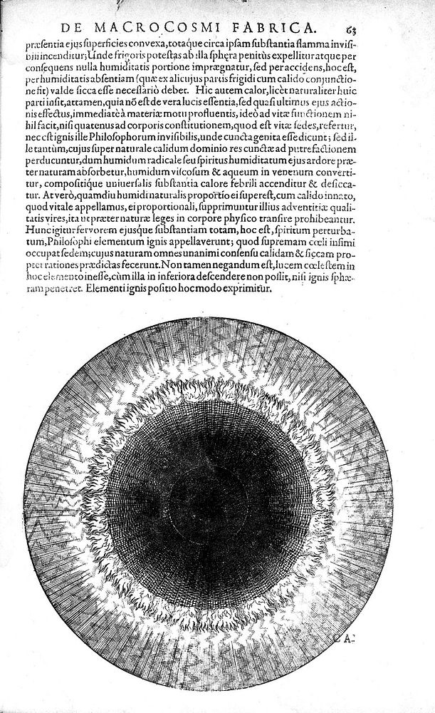 Utriusque cosmi maioris scilicet et minoris metaphysica, physica atque technica historia ... [Tractatus secundus de naturae…