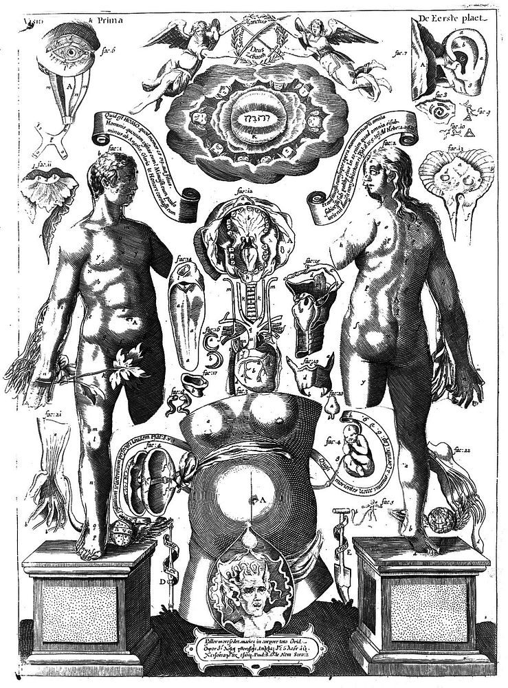 Pinax microcosmographicus, in quo certissimum anatomiae compendium variis aere incisis visionibus proponitur. In usum…
