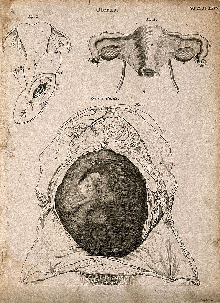 The womb: three figures, one of the pregnant womb. Line engraving by Campbell, 1816/1821.