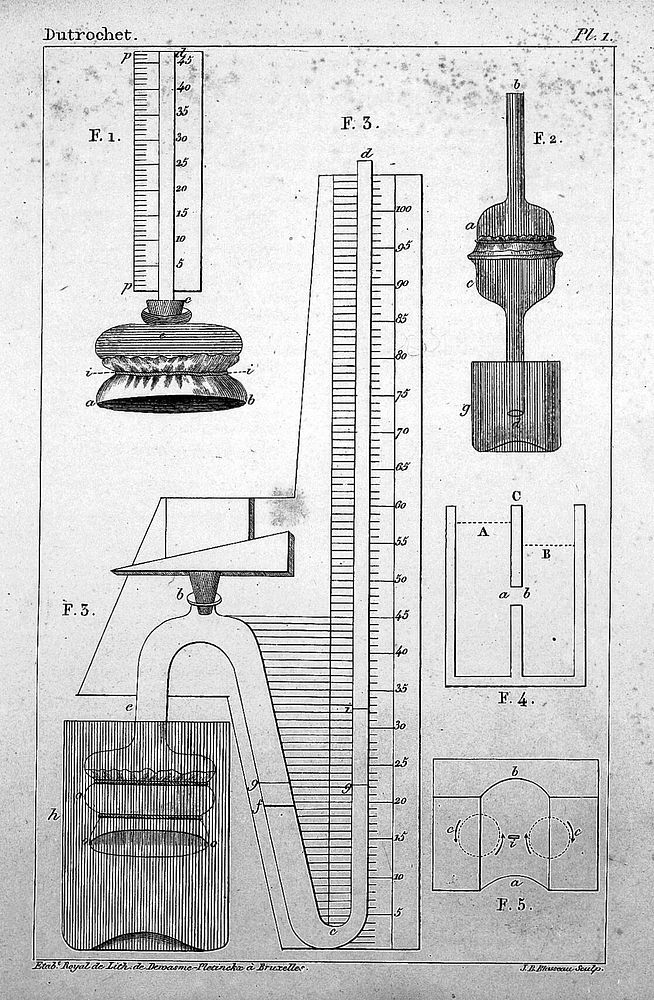 Dutrochet, Memoires pour servir a L'Histoire Anatomique et Physiologique, 1837