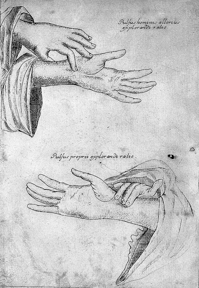 Specimen medicinae Sinicae, sive opuscula medica ad mentem Sinensium, continens: I. De pulsibus libros quatuor e Sinico…