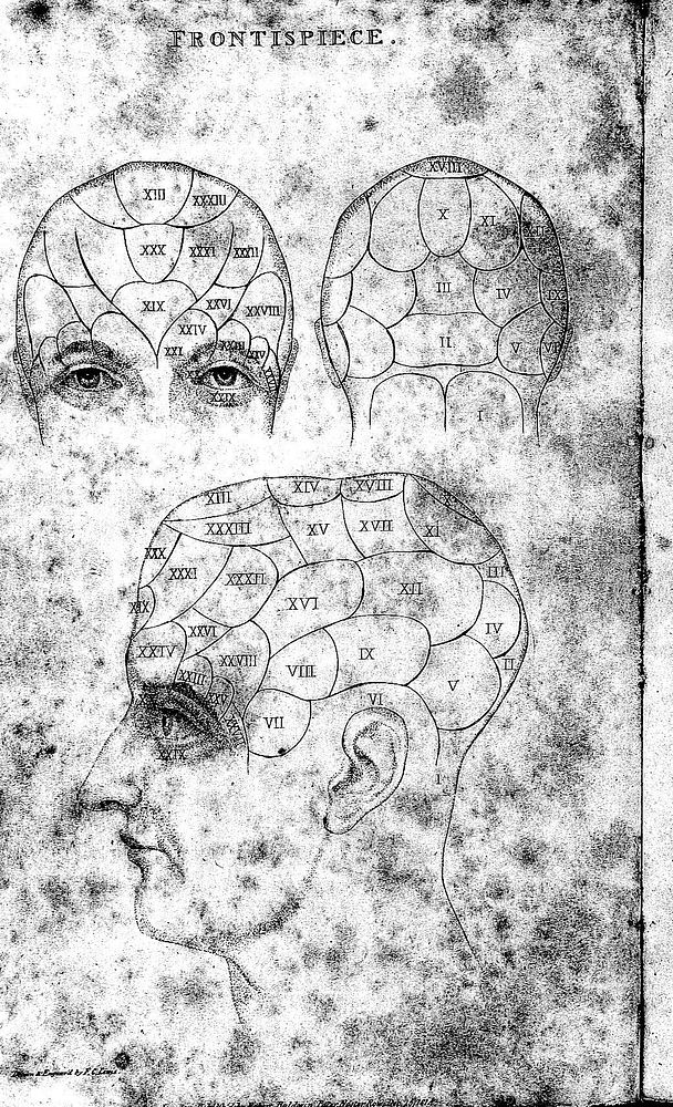 The physiognomical system of Drs. Gall and Spurzheim; founded on an anatomical and physiological examination of the nervous…