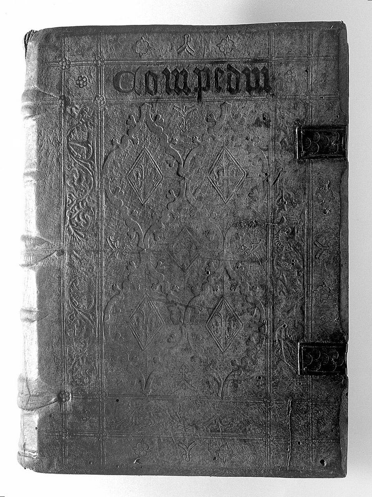 Compendium theologicae veritatis / [Albertus Magnus].