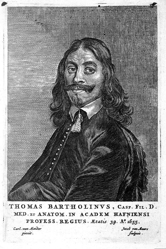 Thomas Bartholin, portrait