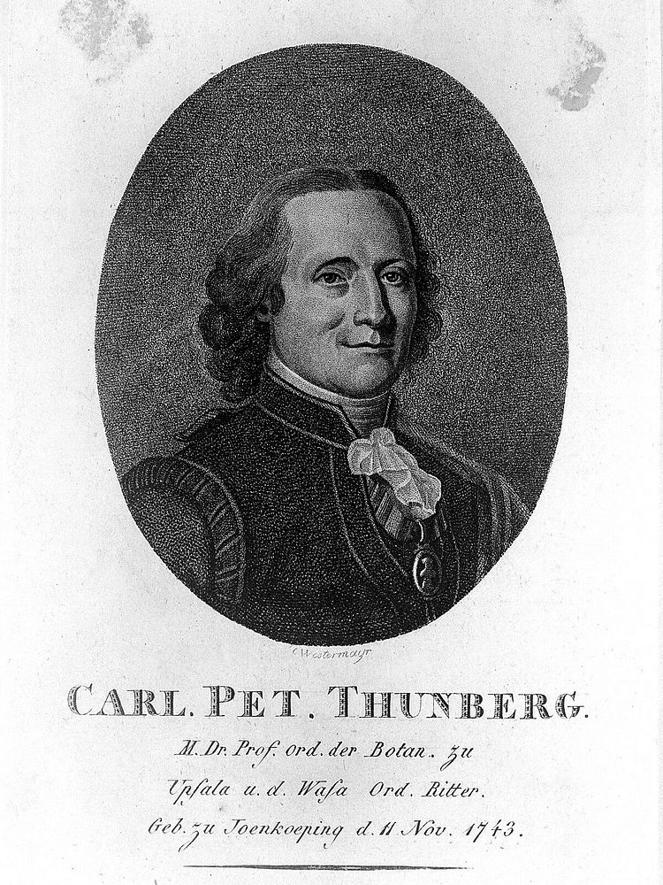 Carl Peter Thunberg. Stipple engraving by C. Westermayr.