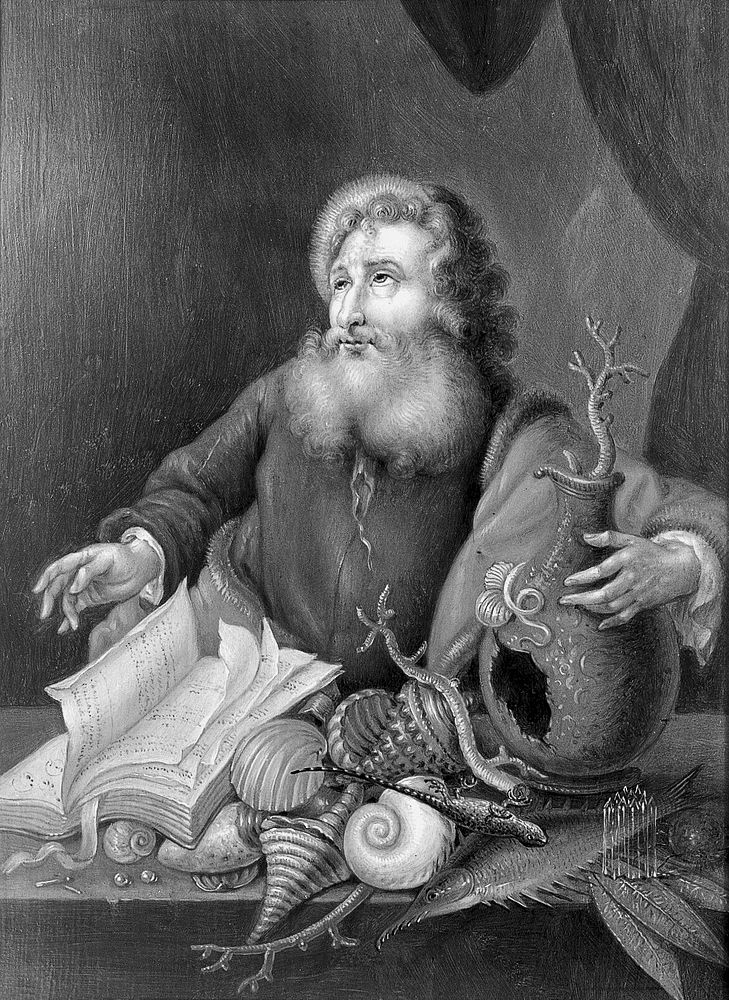 A man with coral, shells, fish, and a book. Oil painting by a German  painter, 17th  century.