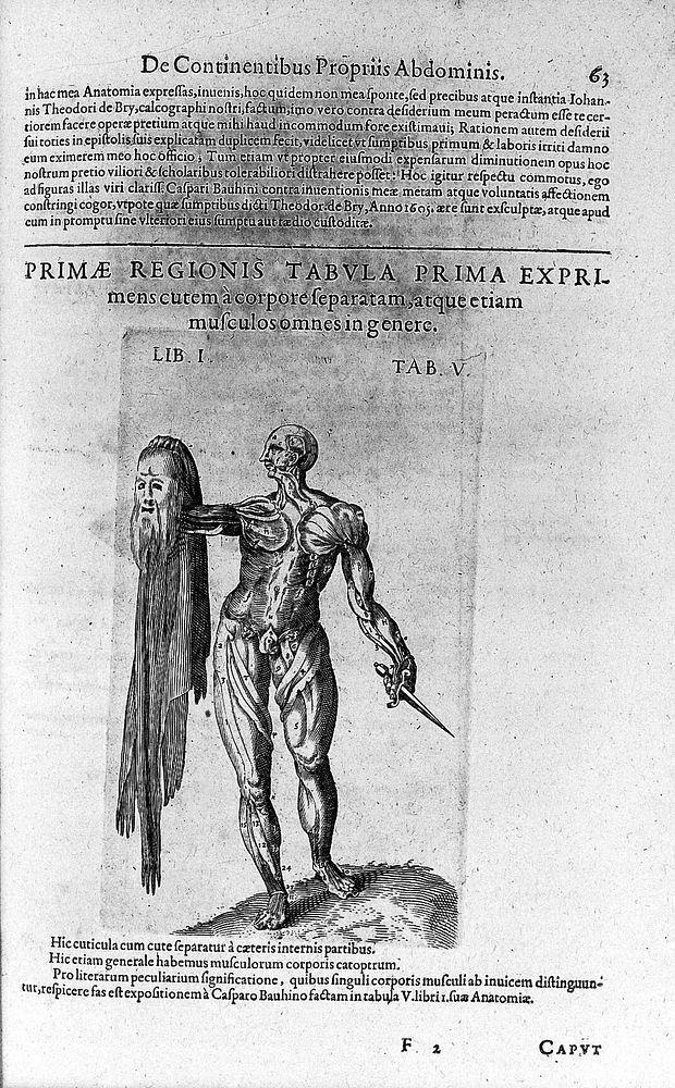 Anatomiae amphitheatrum effigie triplici, more et conditione varia, designatum. [Sectionis primae portio tertia, de anatomia…