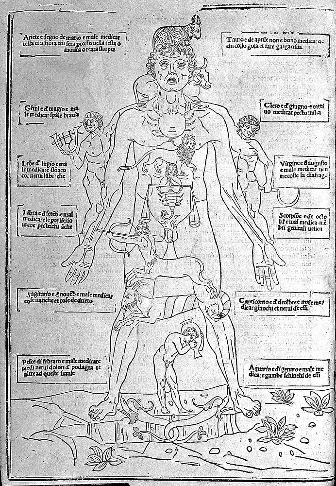 Fasciculus medicine ... tractans de anothomia et diversis infirmitatibus, et corporis humani: cui annectuntur multi alii…