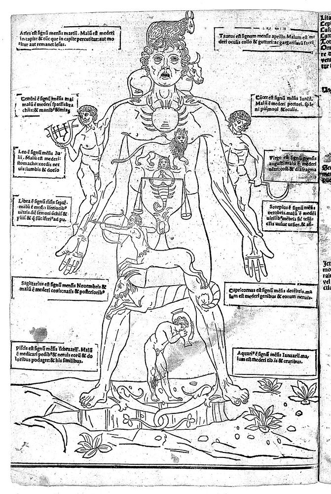 Fasciculus medicine ... tractans de anothomia et diversis infirmitatibus, et corporis humani: cui annectuntur multi alii…