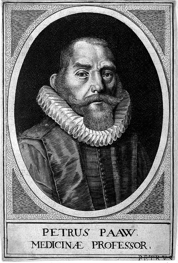 Pieter Paaw [Pauw, Pavius]. Line engraving, 1625.