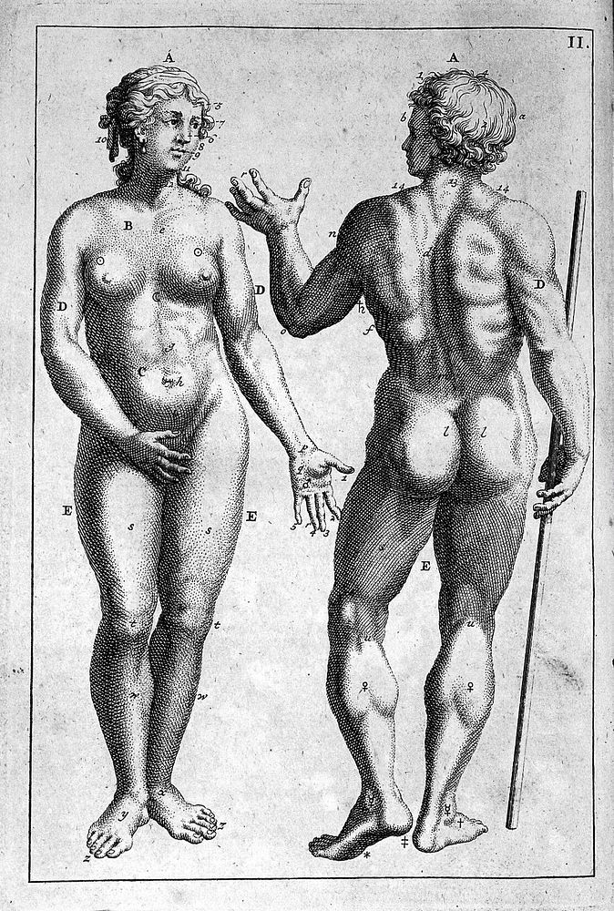 Tabulae anatomicae in quibus corporis humani omniumque ejus partium structura et usus brevissime explicantur. Acc. ...…