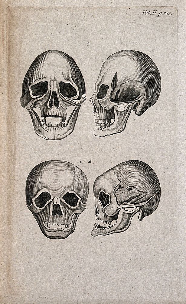 Human skulls: four figures. Line engraving, 1780/1800.